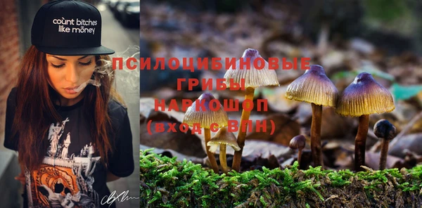 гидропоника Балахна