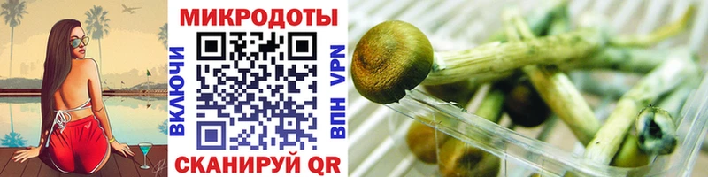 hydra ссылки Суздаль Галлюциногенные грибы GOLDEN TEACHER купить наркотики цена